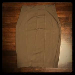 Express Pencil Skirt